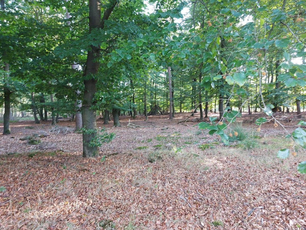 Chalet Wanama. Gelegen Op Het Vakantiepark Het Lierderholt Op De Veluwe. Villa Беекберген Екстериор снимка