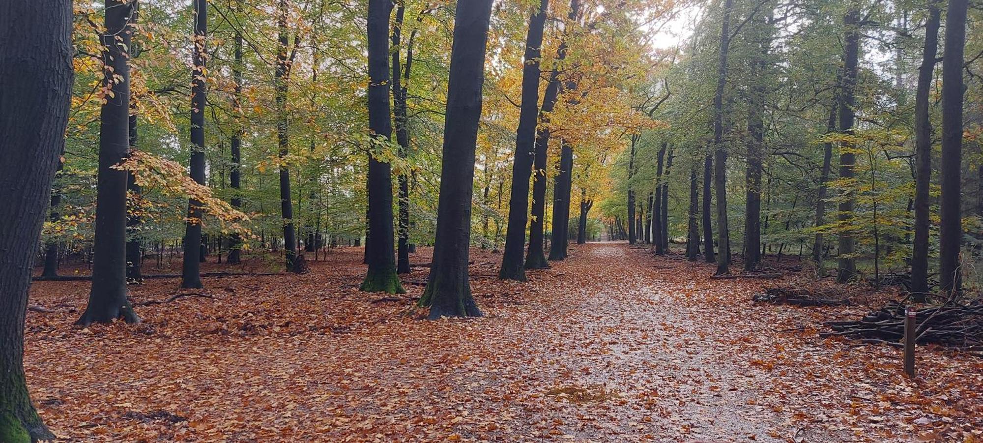 Chalet Wanama. Gelegen Op Het Vakantiepark Het Lierderholt Op De Veluwe. Villa Беекберген Екстериор снимка