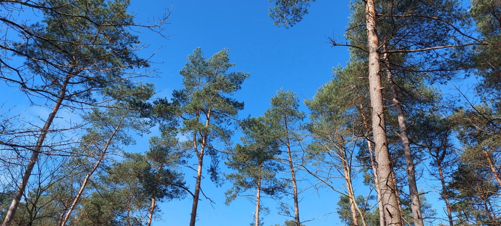 Chalet Wanama. Gelegen Op Het Vakantiepark Het Lierderholt Op De Veluwe. Villa Беекберген Екстериор снимка